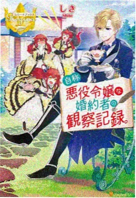 铁马冰河入梦来封面