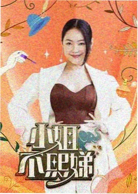 迟到的十六岁小说封面