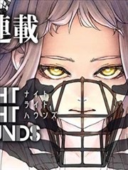 星斗归墟小说封面